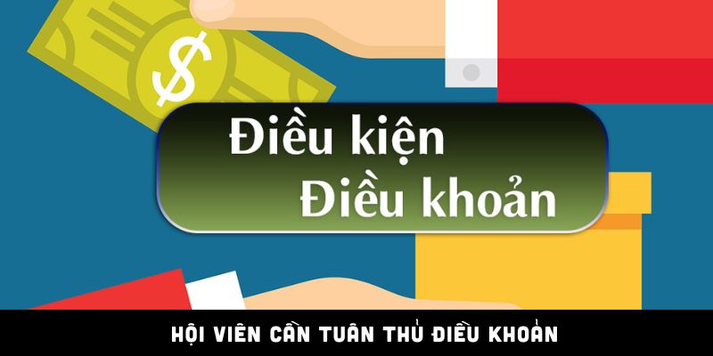 Tham gia khuyến mãi cũng cần tuân thủ quy định